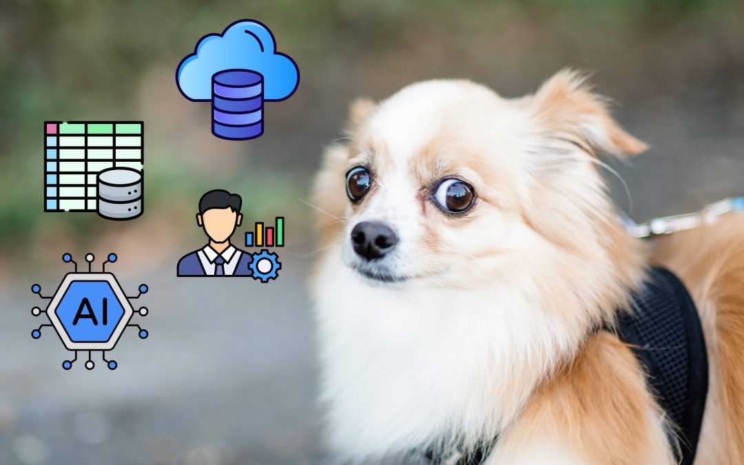 Cómo comencé mi camino hacia el Cloud tras años en Consultoría Estratégica