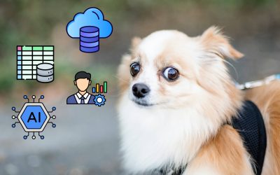 Cómo comencé mi camino hacia el Cloud tras años en Consultoría Estratégica